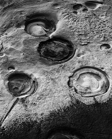 "Point Lobos Rock"