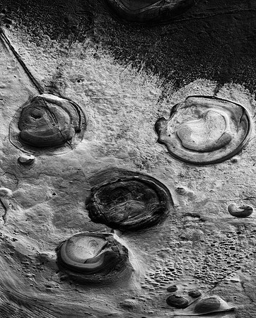 Point Lobos Rock-180 Rotation