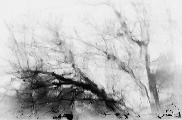 Nancy Hacker "Wistful"