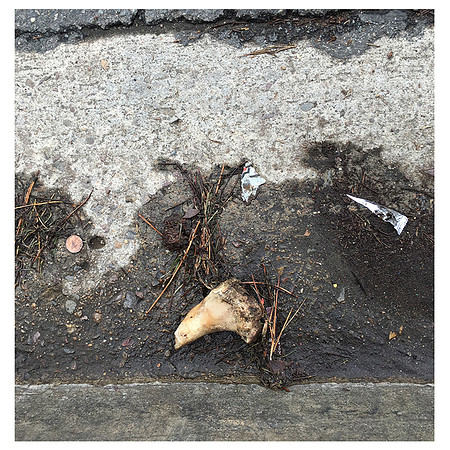 "Untitled (Bone)"
