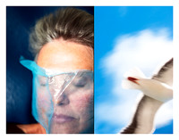 Partial Bird/Half Face