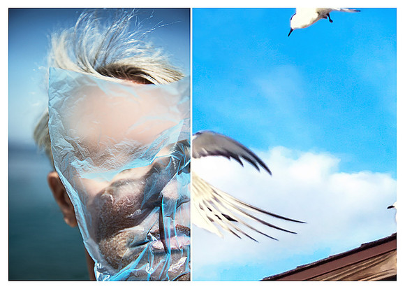 Bird and Profile