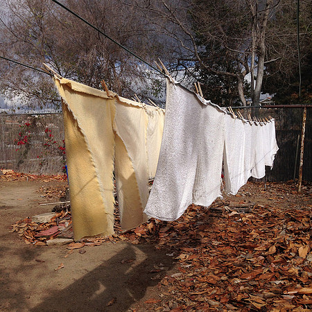 "Untitled (Laundry)"
