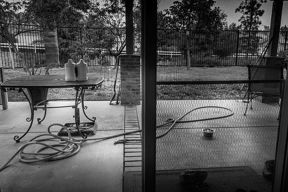 "Kitchen Scene #3"