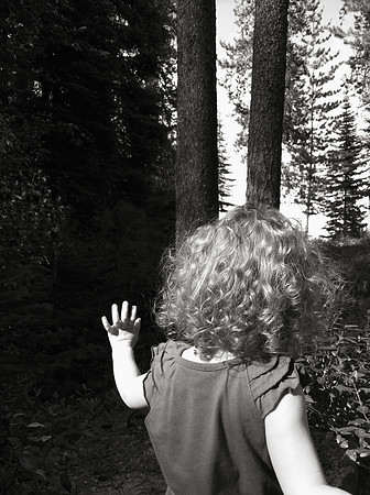 Days on the Mountain Series (3)