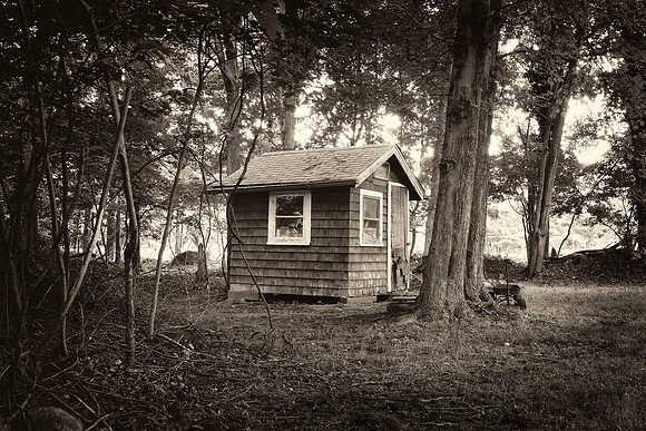 "Starter Home"