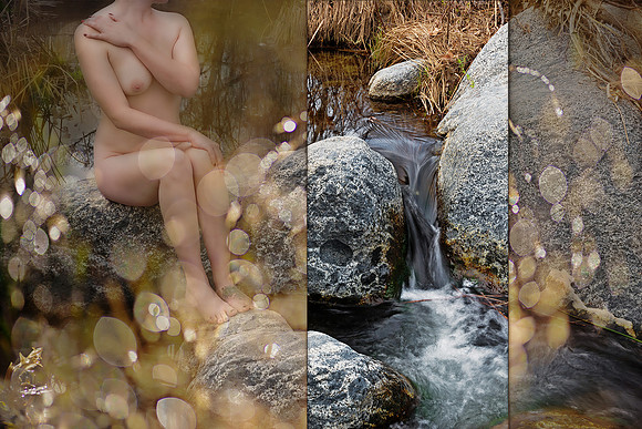 Cycle of Life: Giver Series