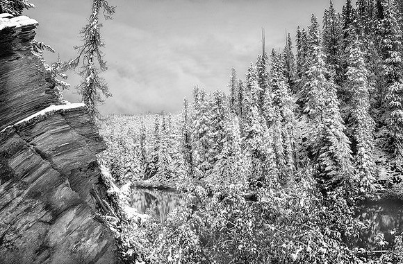 Beck__Winter Wilderness, Jasper_20x16_$250.