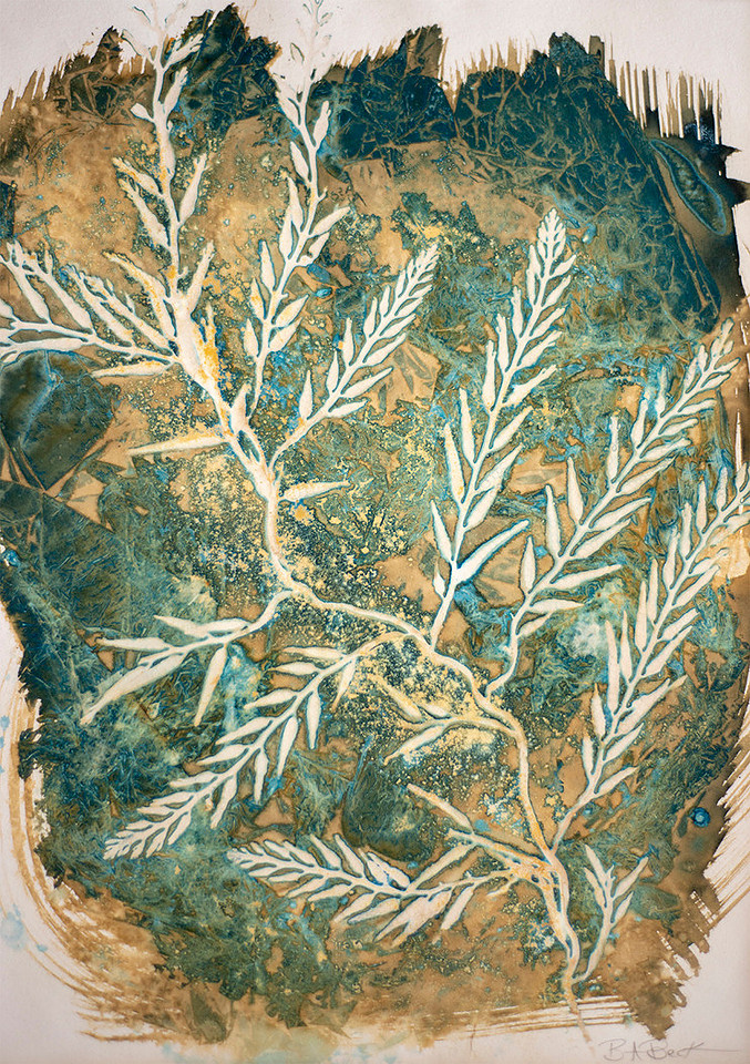 Seaweed 1, Cyanotype