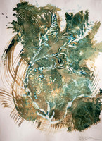 Seaweed 2, Cyanotype