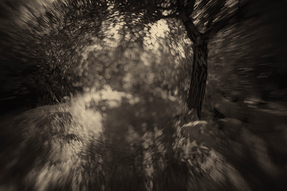 Barbara Beck "Escape"