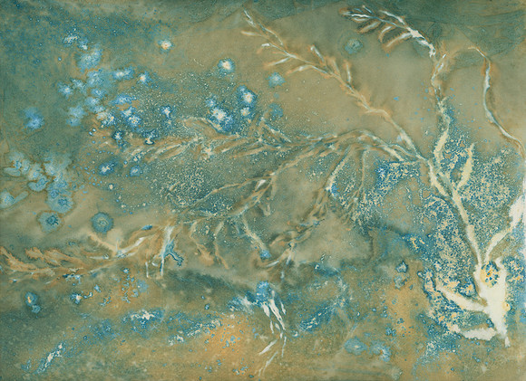 Seaweed No. 4: Sea-drift Collection