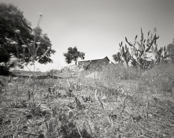 "Postcards From Laurel Ridge 2"