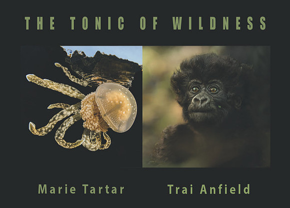 The Tonic of Wildness - Card Front
