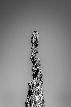 "Burn Scars 2"