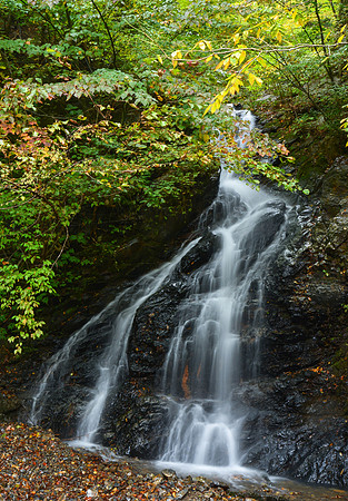"Water Fall"