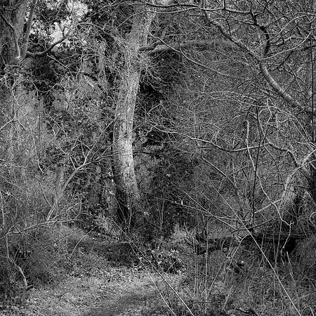 Vanishing Path