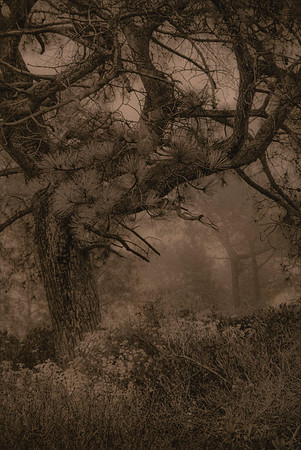 Hulden: Seeing Silence