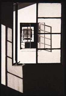 Ogden: Windows #4