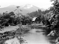 ANDREA MATTHIES