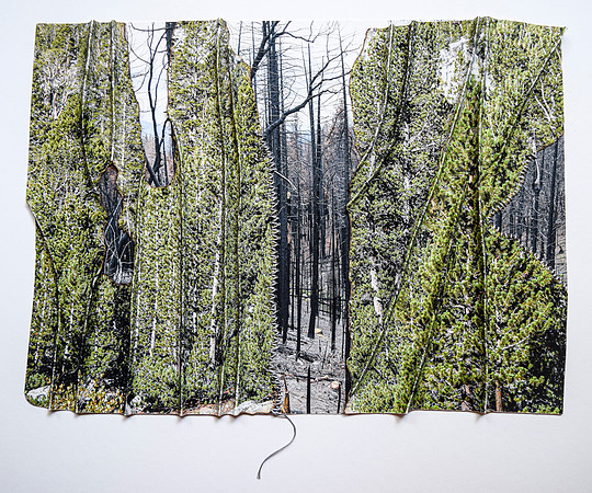 Sierra Burn Scar #1