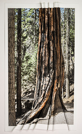 Corrugated Redwood