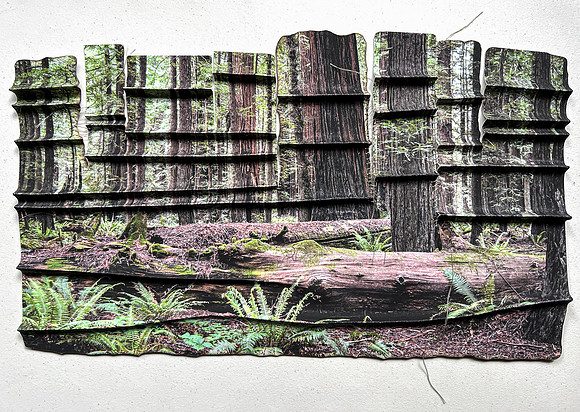 Forest Deconstructing
