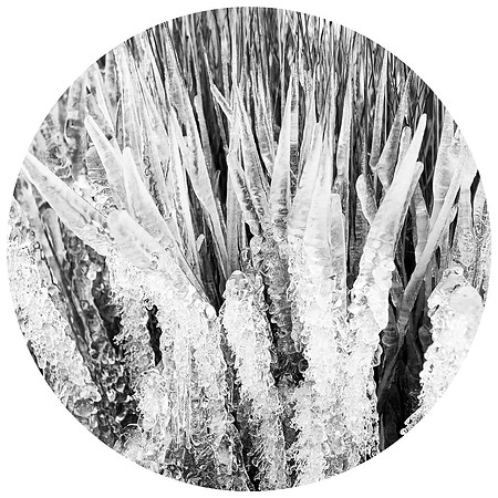 Ice Phase #1