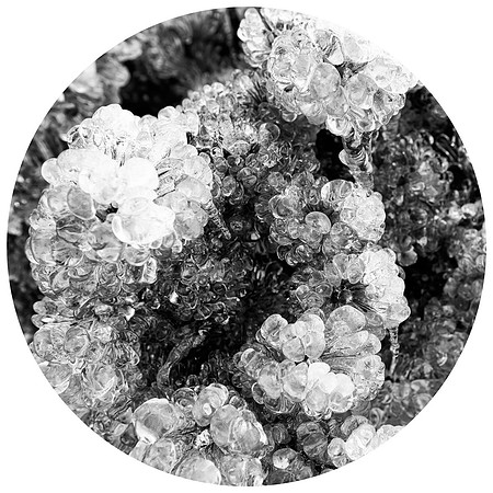 Ice Phase #3