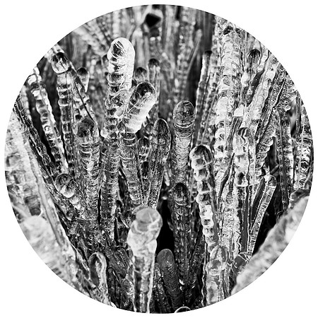 Ice Phase #6