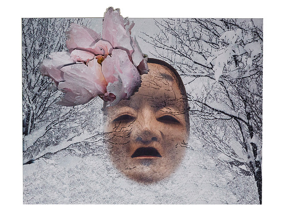 "Kanasawa Peony"