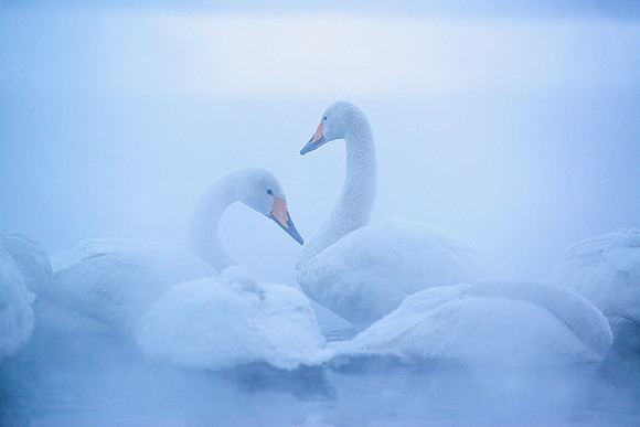 "Dawn's Break"
