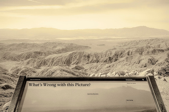 "What's Wrong With This Picture?" 2015