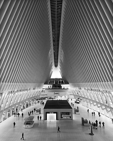 "Inside the Oculus"