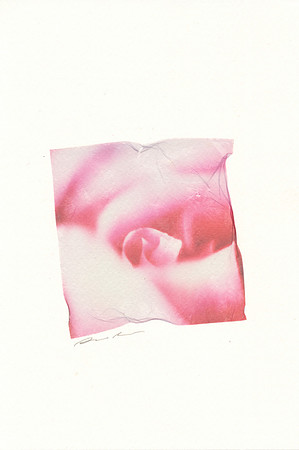 Melton: "Untitled, 5"