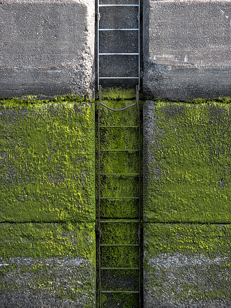 "Seattle Locks"