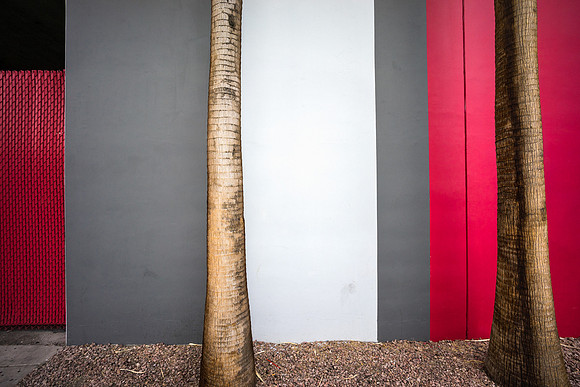 Red, White & Gray with Trees