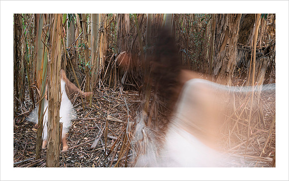 "Manifestation" Awakening Series