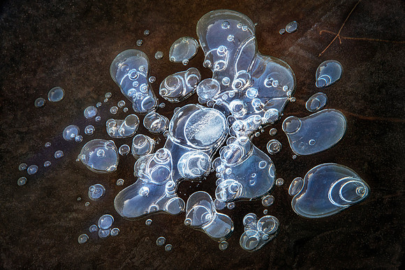 "Ice Bubbles", Bailey's Pond, 2019