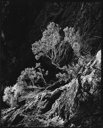 "Echo Canyon", Death Valley, California