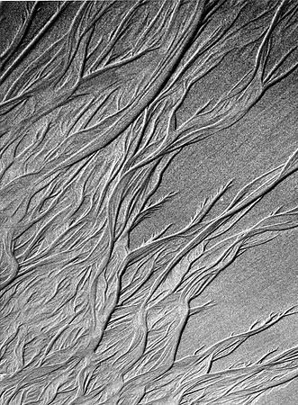 "Veins of Sand", Coastal Oregon