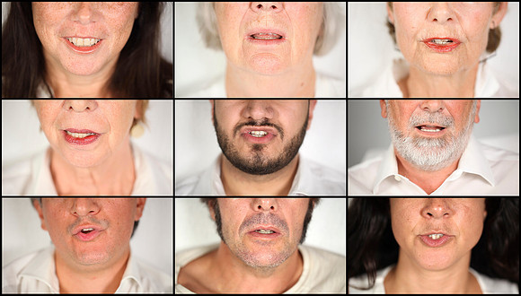 some_adult_subjects_grid