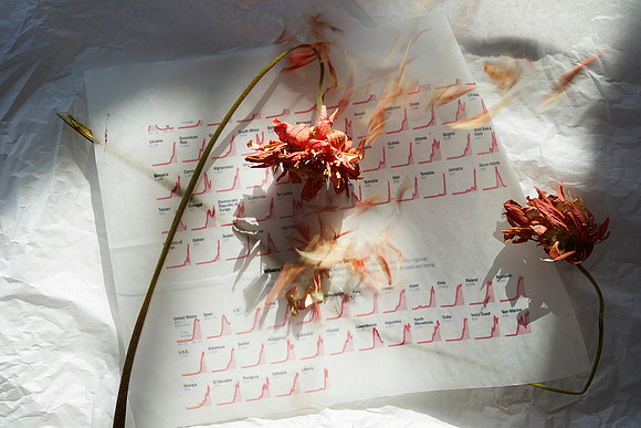 Beth Galton "Corona Maps" series