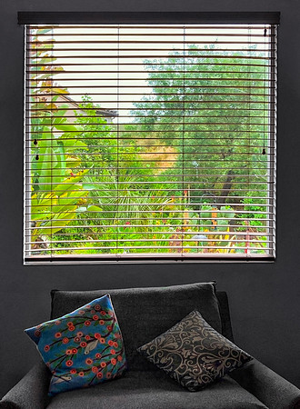 "Bird Pillow, Looking Out" Stay-At-Home Series