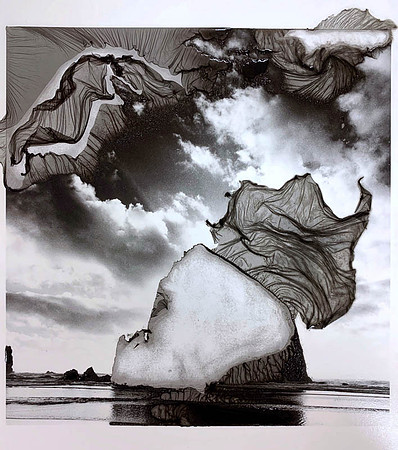 Lazarus: "Cannon Beach, Oregon"