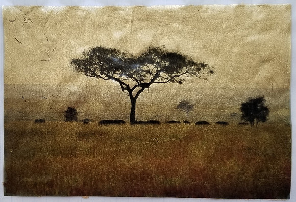 Klauer: "Serengeti"