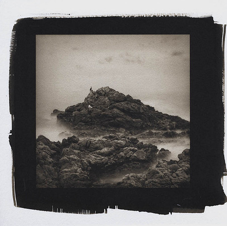 Director's Selection - Connors: "More Rocks and Birds"