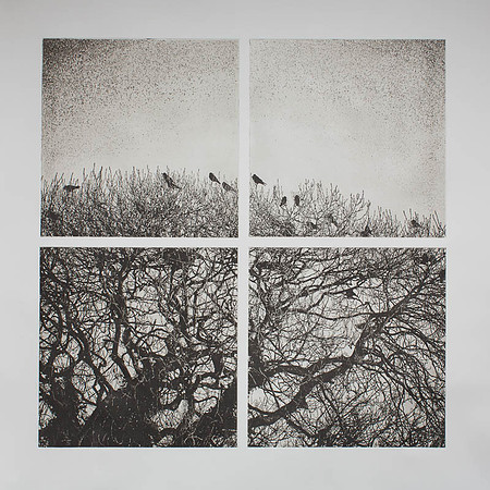 Juror's Selection - Gammon: "Easkey Roost at Dusk"