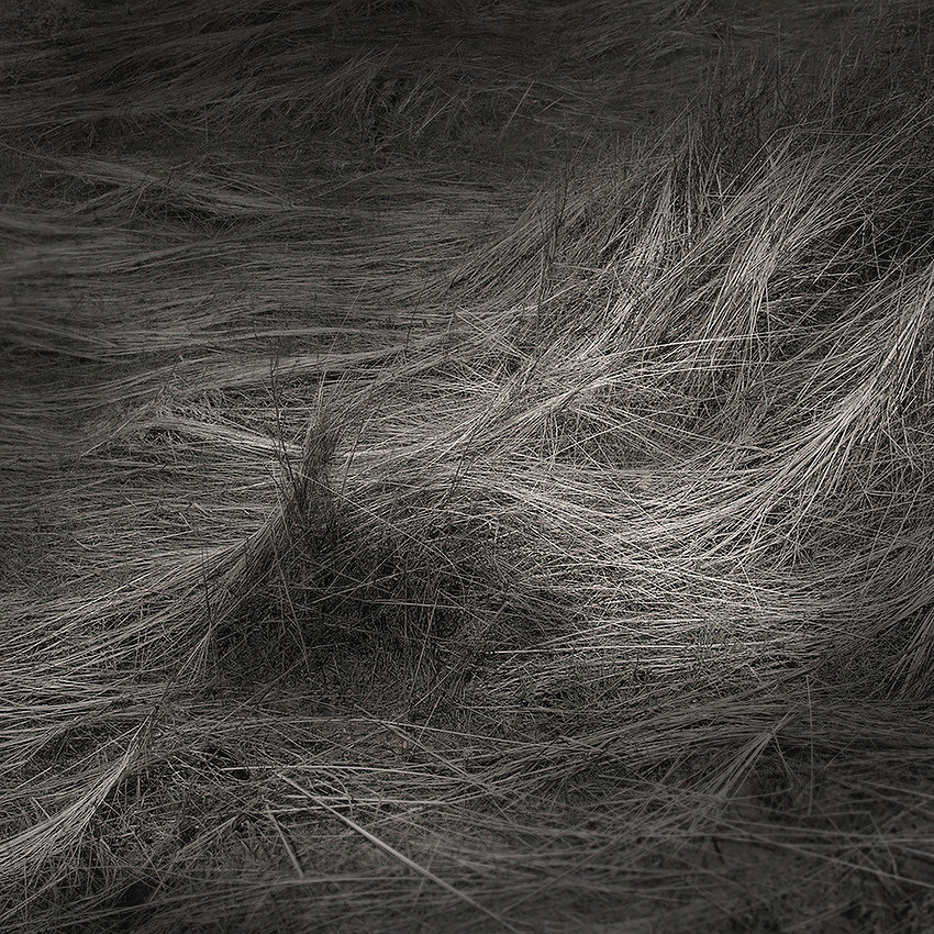 "Volcan Mountain #23"