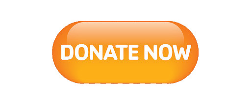 Donation Button